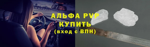 сатива Богородск