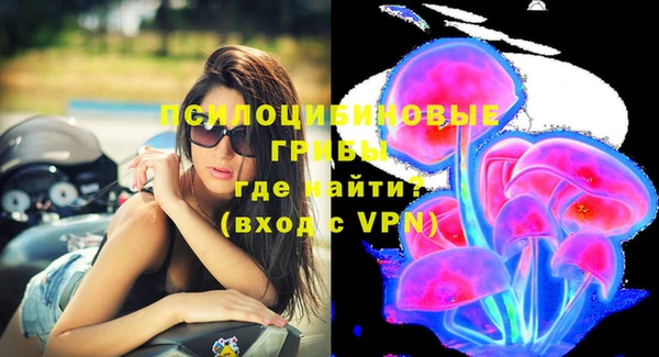 сатива Богородск