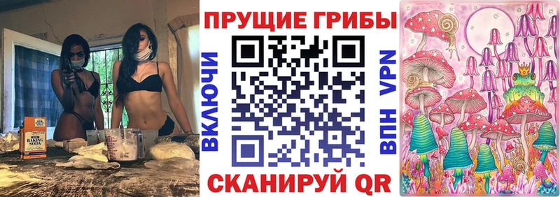 дарнет шоп  Назарово  Псилоцибиновые грибы Magic Shrooms 
